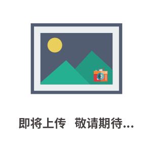 優(yōu)質(zhì)脫色劑 塑料顆粒脫色劑